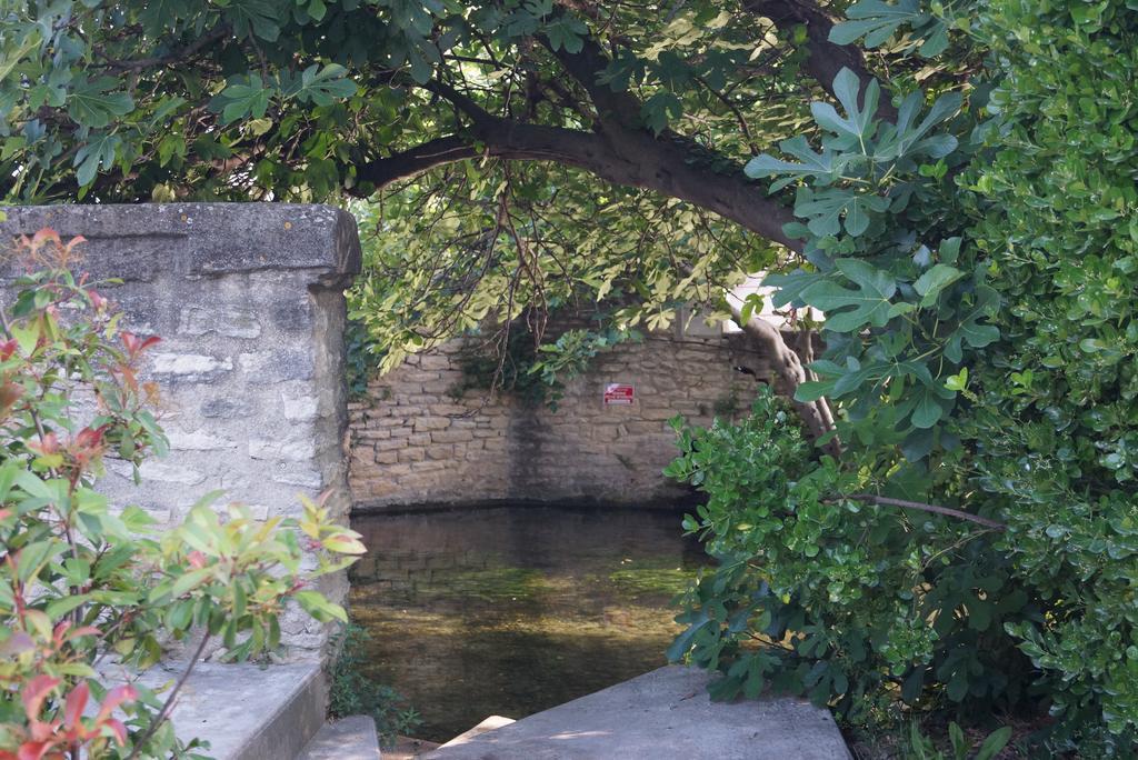 Colombe Apartman L'Isle-sur-la-Sorgue Kültér fotó
